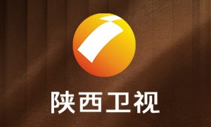 考试大师荣登陕西卫视：教育创新力量再获省级媒体认可