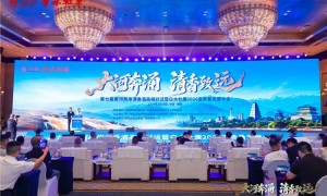 从“品类热”走向“产业兴”，黄河两岸清香酒抱团定下2026年度共识